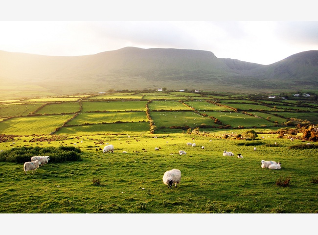 Пейзажи Ирландии