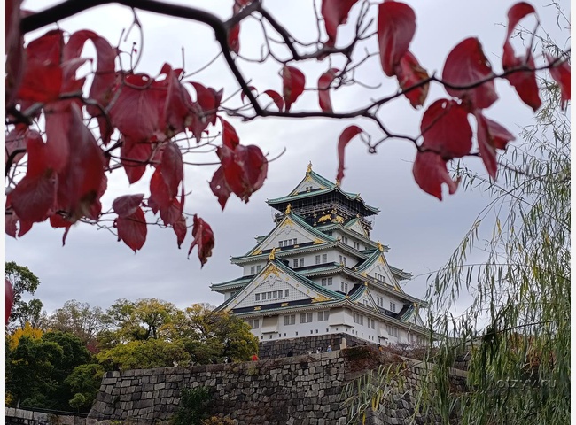 None