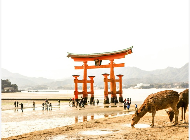 музей самураев