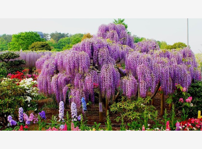 музей самураев